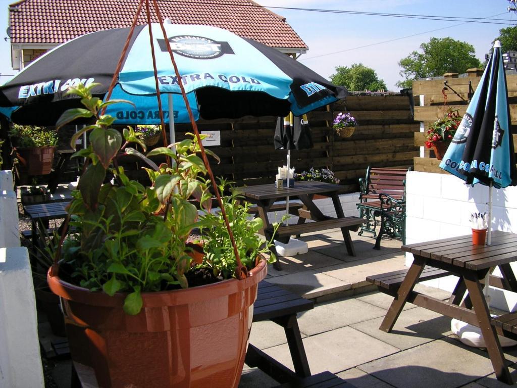 The Robertson Arms Hotel Carnwath Εξωτερικό φωτογραφία