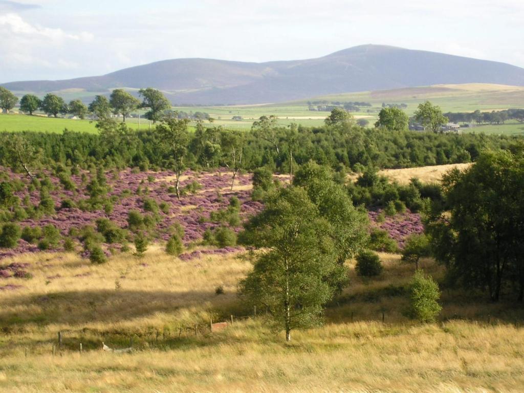 The Robertson Arms Hotel Carnwath Εξωτερικό φωτογραφία